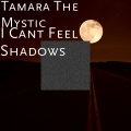 I Cant Feel Shadows
