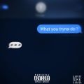 what you tryna do (Explicit)