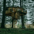 SoundtraxX - Treehouse