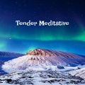 Relaxing Piano Music、PurePiano、ironcat - Graceful Serenades