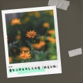 沐沐 - 重生之我在异乡为异客