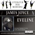 Friedrich Frieden、James Joyce - Kapitel 1