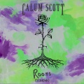 Roots (Seeb Remix)