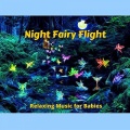 Dan Robinson - Forest Fairies