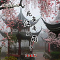 轩冉、东方寒淋 - 死在江南烟雨中