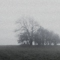 Karanoia - Recovering