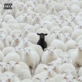 GMD 93、Flexxx - Ghetto Superstars (feat. FLEXXX)(Explicit)