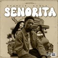 Senorita (feat. Paola)