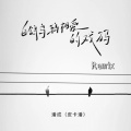 潘成（皮卡潘） - 白鸽乌鸦相爱的戏码