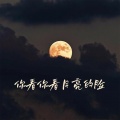 艺源音乐zan昝老师 - 你看你看月亮的脸