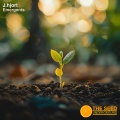 j.hjort - Emergents