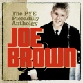 Joe Brown & The Bruvvers - It Only Took a Minute