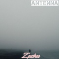 Zuchu - Antenna