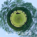 whoispoob、Omission - cuntry