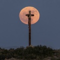 Goodbye Moonlight