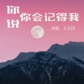 王笔锋 - 你说你会记得我