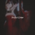 Perfect Crime (Explicit)