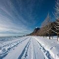 我约了个人在海边飘雪的时候去看海