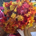 Thanksgiving