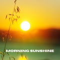 Morning Sunshine