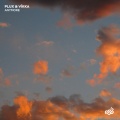 Plux、VIKKA - Anymore