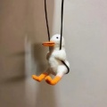 fgndo