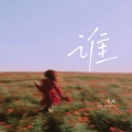 七元 - 谁