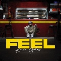 FEEL (Explicit)