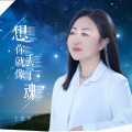 王爱华 - 想你就像丢了魂
