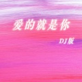 张牧一、陈不凡 - 爱的就是你 (DJ男女对唱版)