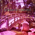 Meditation Spa - Wise World