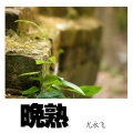 尤永飞 - 晚熟