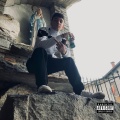 Stronzo (Explicit)