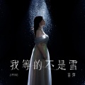 吉萍 - 我等的不是雪