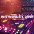 张雅伦 - 车载DJ舞曲
