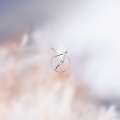 Ruiz - Diamond