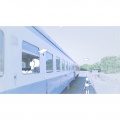 蓝夕aiyuu - ginger snaps