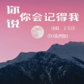 王笔锋 - 你说你会记得我