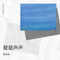倪金茂 - 琵琶声声