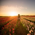 Cuestión de Energía、Música de meditación nu、Zona musical de meditación guiada - Pista De Meditación Nocturna