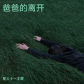 翟大小 - 爸爸的离开