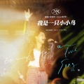 刘宴筠 - 我是一只小小鸟 (Live)