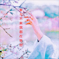 耿辉 - 来与不来我都在等你