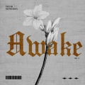 Taylor McPherson - Awake, O Sleeper!