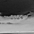 TwizzyNik - 2024