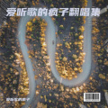 爱听歌的疯子 - 曾经是情侣