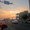 DJ风景线 - 想你的夜 (DJ风景线 remix)