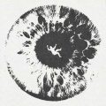 nwfnd - mid