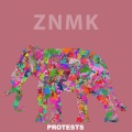Protests