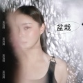 盆栽
